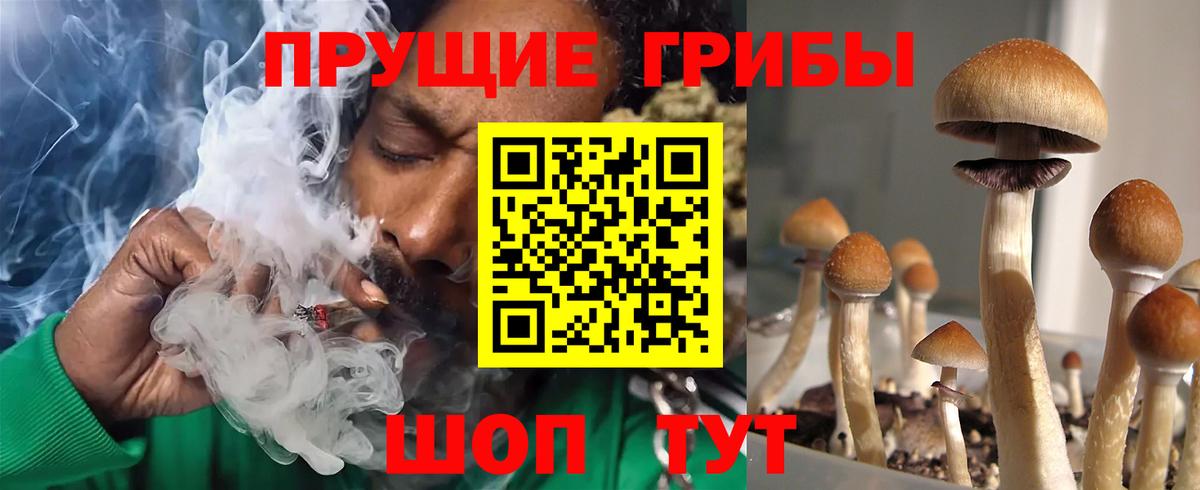 Галлюциногенные грибы Psilocybine cubensis  Вход с VPN  Грозный 